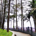 Puncak Pato Tanah Datar